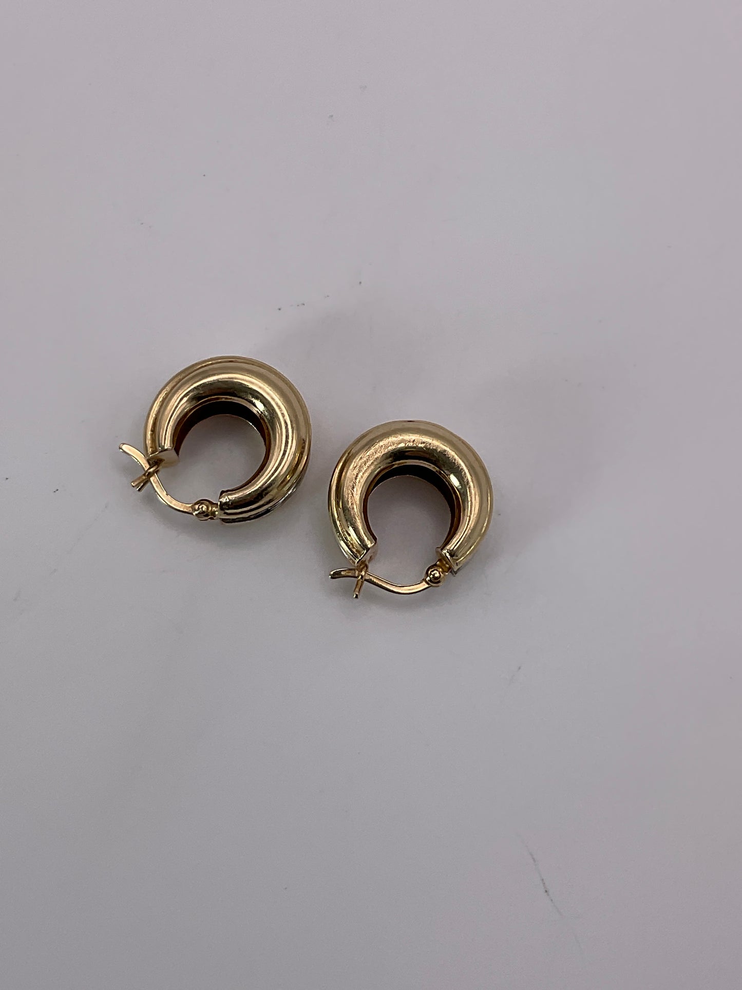 3.7g 14k Two Tone Hoop Earrings