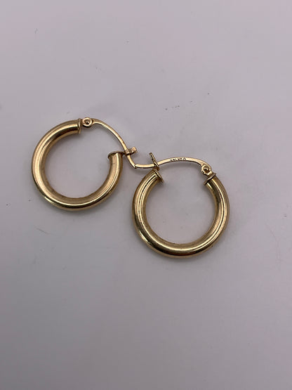 1.0g 14kt YG Earrings Hoops