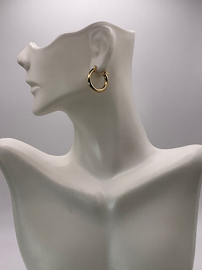 1.0g 14kt YG Earrings Hoops